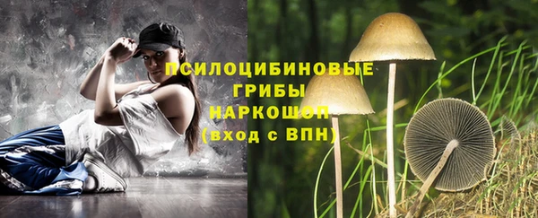 амф Янаул